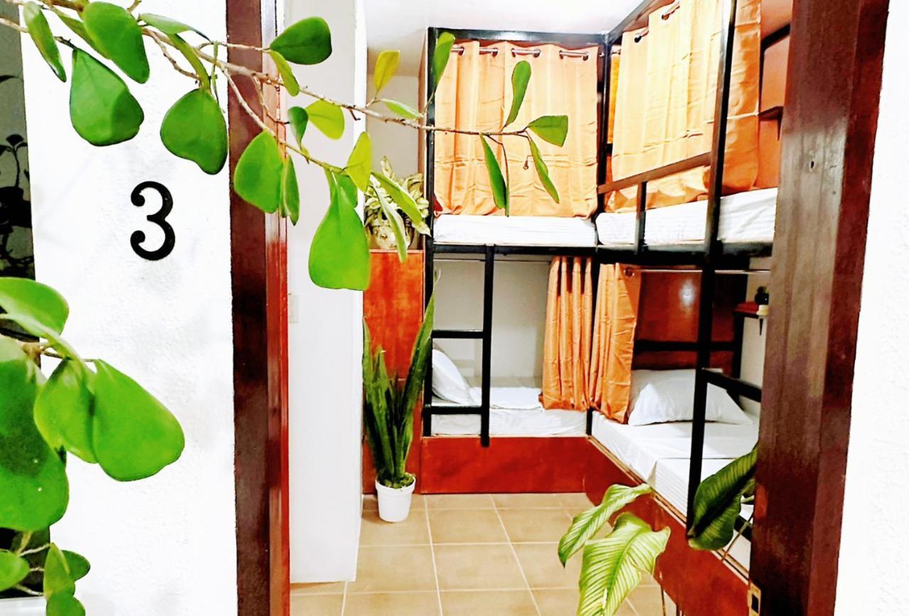 Moana Beach House Moalboal Bagian luar foto